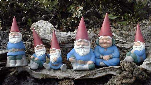 VUDU Marketing Team Gnomes